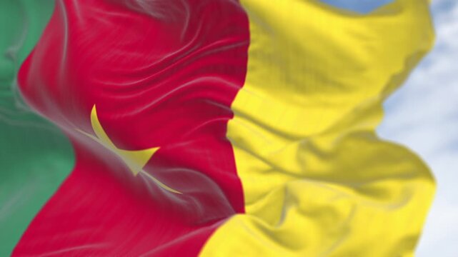 Cameroon national flag waving in the wind