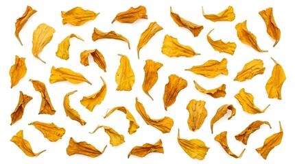 Obraz premium Arrangement of dry yellow and orange flower petals on white for decorative purposes and creative design elements.