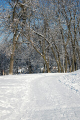 Fototapeta premium Snow-covered winter path leading between bare trees against a bright blue winter sky.Peaceful winter park landscape in sunny day.