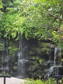 waterfall in the jungle