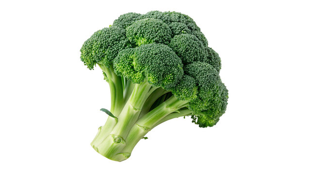 Fresh green organic broccoli head vegetable crop isolated on transparent background