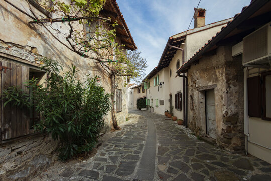 Narrow cobblestone street in historic &scaron;martno village Slovenia