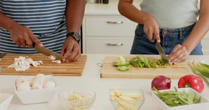 Lifestyle videos indoor of people doing activities at home, chopping vegetables on boards, couple pr