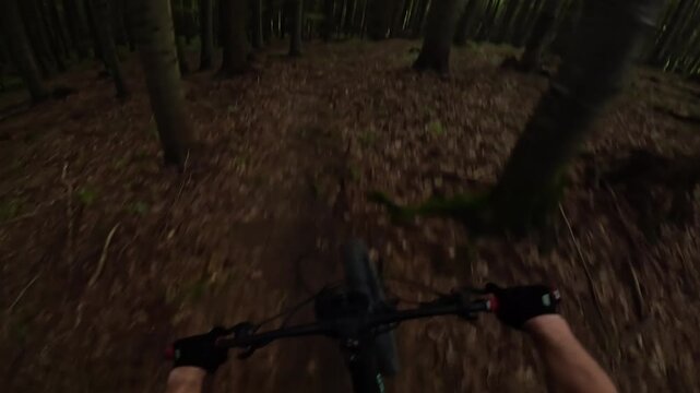 POV Video Of Mountain Biker Riding Fast On Dark Enduro Forest Trail