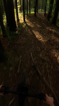 Vertical POV video of a mountain biker riding downhill on a forest trail