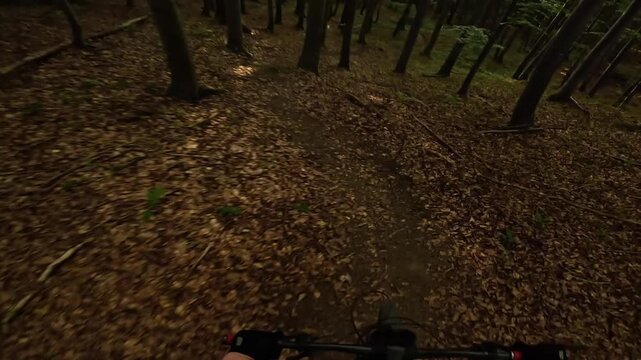 POV Video Of Mountain Biker Riding Fast On Dark Enduro Forest Trail