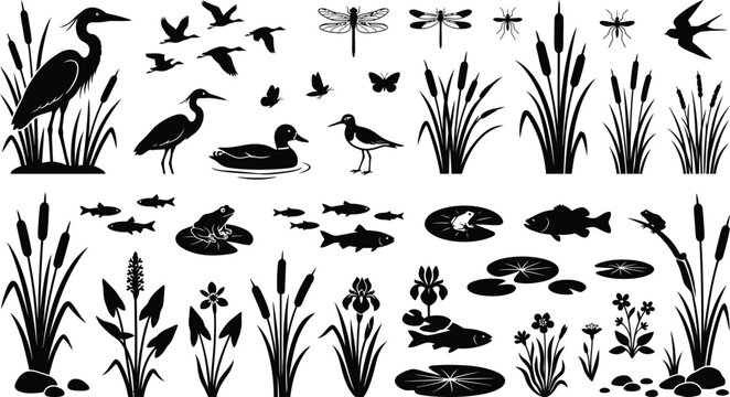 Decorative Wetland Silhouette Collection with Birds Reeds Frogs and Dragonflies