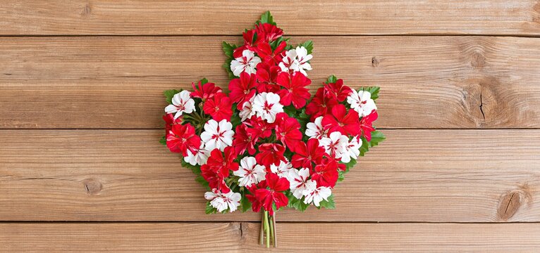 On a rustic wooden surface, a maple leaf arrangement features vivid red and white flowers, ideal for Canada Day.