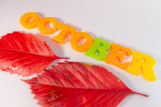 Bright plastic alphabet letters spelling OKTOBRIS on a white background, featuring bright red autumn leaves and generous borders.