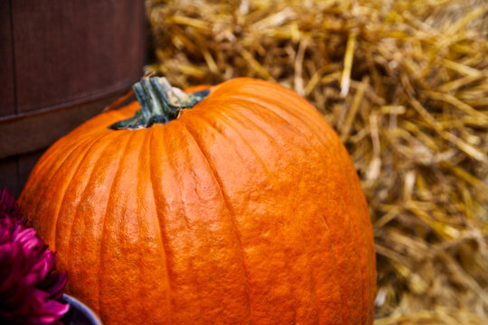Large ripe orange pumpkin on straw bale during autumn harvest season