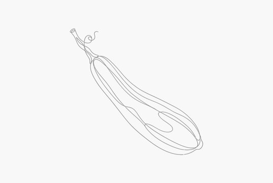 One line drawing of a zucchini or summer squash.