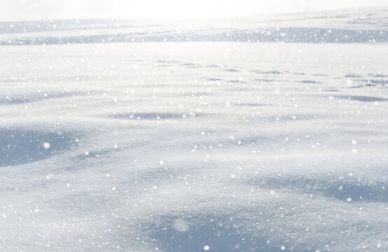 逆光で光る雪原。雪が舞う。