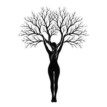 Surreal Silhouette of Woman Transforming into Tree with Bare Branches