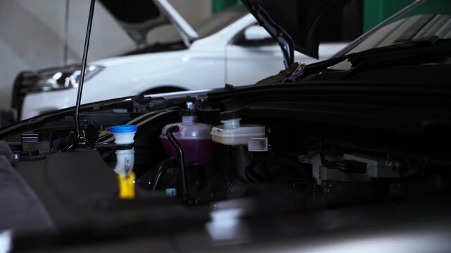 Open Car Hood and Engine Compartment During Professional Vehicle Inspection. Close-up view of an open car hood and engine compartment inside an automotive repair workshop, representing vehicle inspect