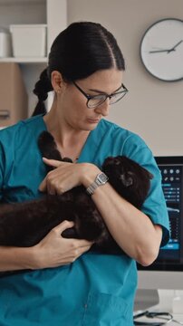 Middle aged Caucasian female veterinarian holding black cat and talking during examination. Clip fitting for veterinary clinic advertising and pet healthcare campaigns, vertical