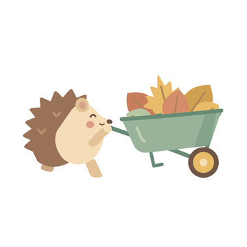 Hedgehog with autumn leaf