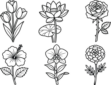 Botanical illustration of various flowers in a vintage black and white sketch style