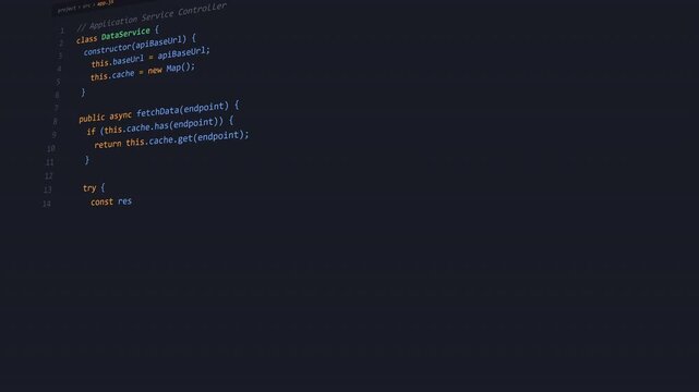Computer software development programming source code file editor display