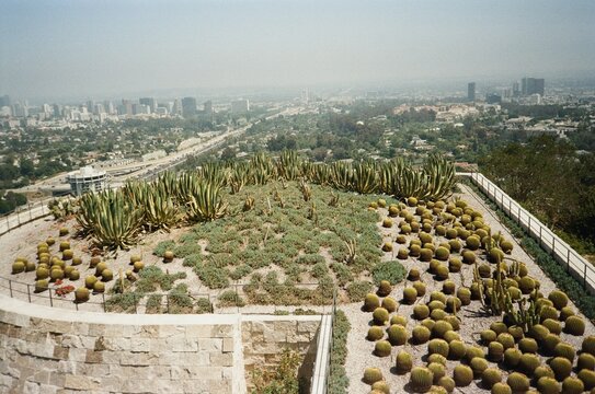High angle view of a modern rooftop cactus garden overlooking a hazy city skyline
