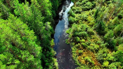 Fototapeta premium Aerial view of winding river surrounded by lush green forests with dense foliage and textures