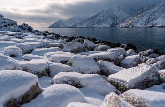 雪に覆われた海岸と遠くに望む冬山の風景