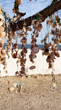 seashell wind chimes hanging on wooden branch near ocean beach in sunny coast