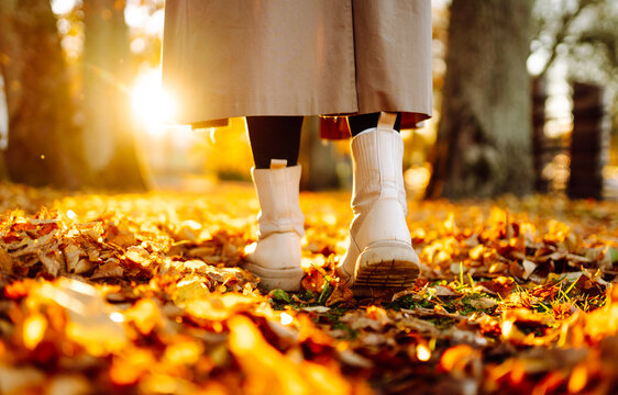 Close-up shot of woman legs walking through park strewn with fallen yellow leaves at sunset. Feet in boots on grass in autumn forest. Concept of nature, changing seasons, enjoyment.