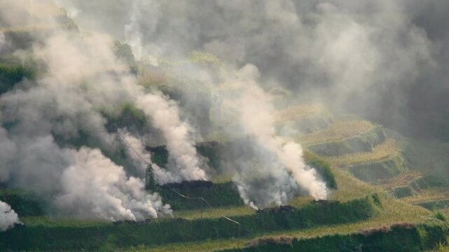 Farmers mass burn dried rice stubble causing thick dense billowing smoke in the rice terraces wrapping the mountainous landscape, contouring Ban Khoang district, Lao Cai.
