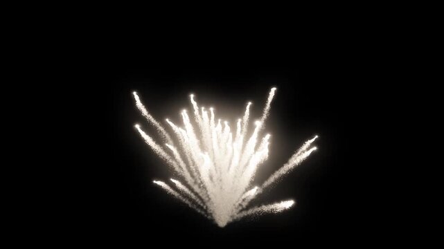 White golden pyrotechnic firework explosion on black background fireworks pyrotechnics sparkling glowing holiday fireworks pyrotechnics sparkling glowing holiday