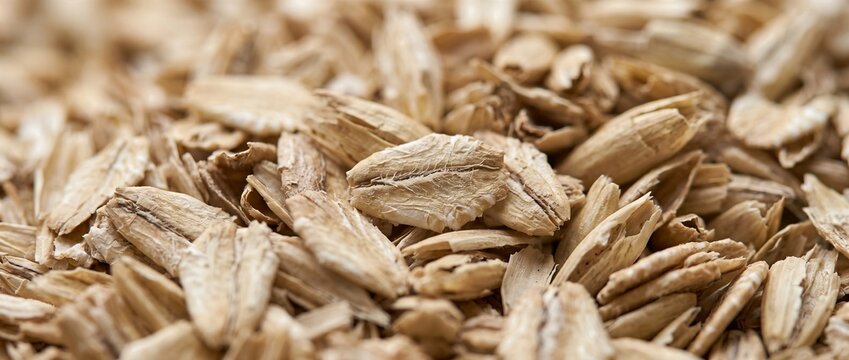 Detailed macro view of oat husk texture. Golden brown agricultural grain chaff pattern