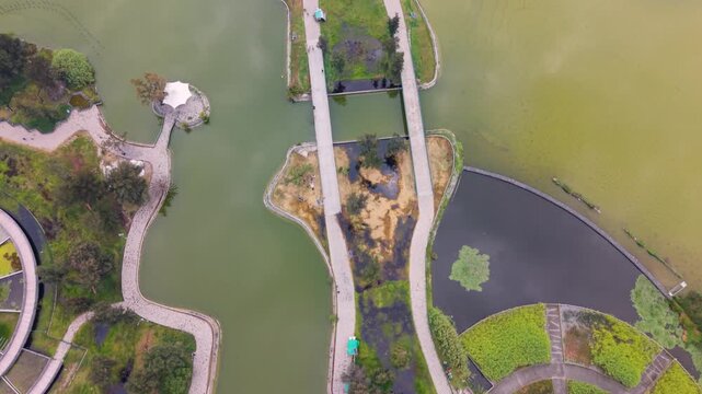 Urban forest with aquatic habitats in northern Mexico City