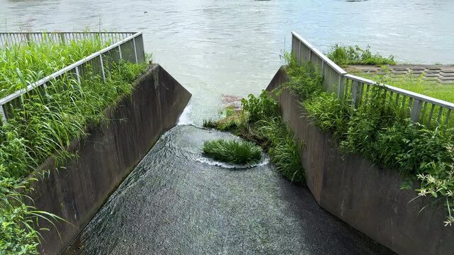 Stormwater Drainage Channel Flowing into the Tama River