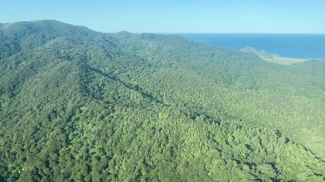 Bush covered ridges run down to the sea on Great Barrier Island, New Zealand, seen from a light aircraft with the forest unbroken to a pale sandy bay. Aerial view