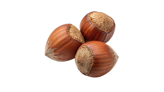 Heap of raw organic unshelled hazelnuts isolated on transparent background