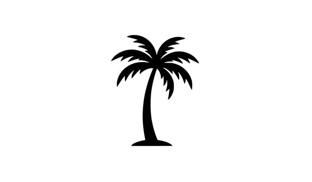 Simple palm tree icon black vector symbol for tropical travel design