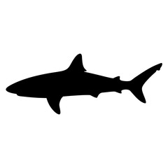 Obraz premium Black shark silhouette vector icon - A sleek black shark silhouette in a clean vector style, perfect for marine or wildlife-themed designs.