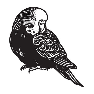 Linocut Style Preening Budgerigar Parakeet Bird Monochrome Vector Illustration
