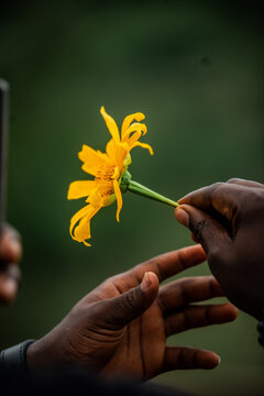 View of a person's hand holding a bright yellow flower towards another hand in a soft-focus natural setting in Jos North, Plateau, Nigeria.