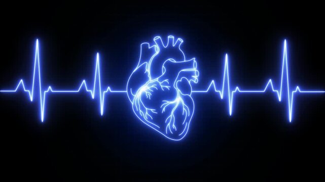 Futuristic glowing red wireframe human heart beating with EKG line pulse and digital rhythm on black background. Concept for health, anatomy, and the importance of blood circulation in human life.