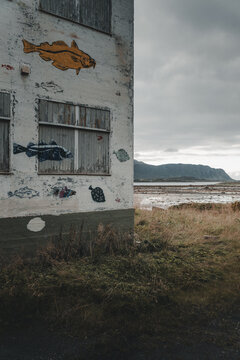View of a weathered building wall with fish murals in Nesland, overlooking a coastal landscape with mountains under a cloudy sky in Flakstad Municipality, Nordland, Norway.