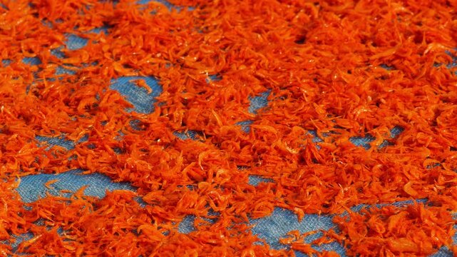 Tiny orange dried shrimp sun-drying on blue fishing net, close-up texture of traditional Thai coastal seafood preservation, colorful vibrant food ingredient background