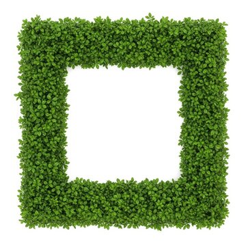Green hedge shaped like the letter u