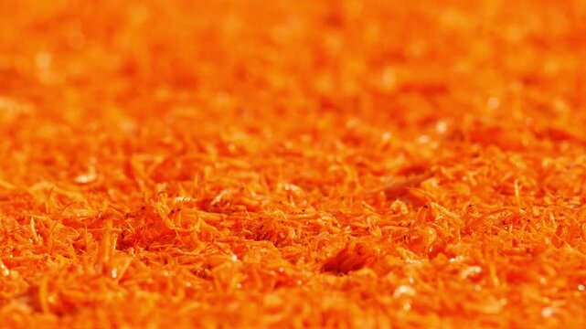 Tiny orange dried shrimp sun-drying on blue fishing net, close-up texture of traditional Thai coastal seafood preservation, colorful vibrant food ingredient background