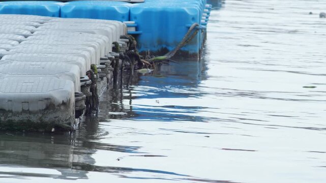 Floating pontoon dock with white plastic modules and blue barrels, weathered mooring ropes covered in algae reflecting on calm harbor water surface