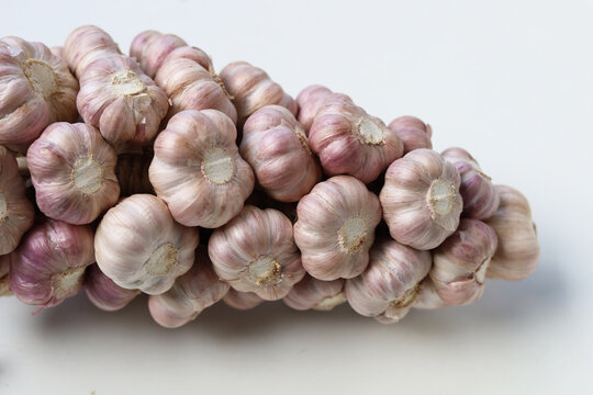 Garlic on white