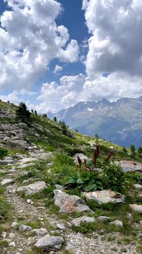 hiking trail in alpine mountain landscape with rocky path and cloudy sky