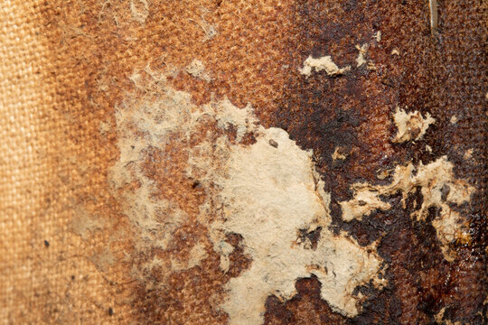 Close up of mold and dirt on old sofa fabric