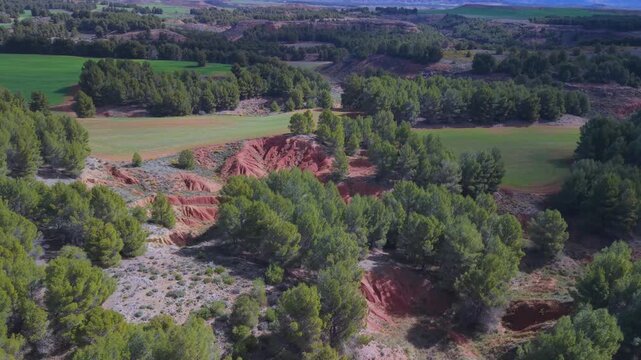Aerial view from a drone of the so-called Sacristan's Castle in Ariza, in the Calatayud region of the province of Zaragoza, Castile and Le&oacute;n, Spain, Europe