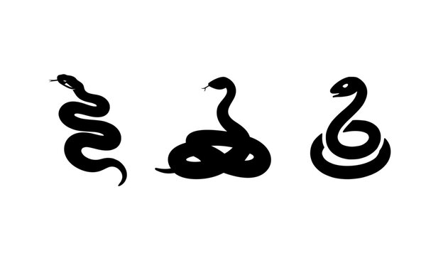 Black snake silhouette set featuring three different serpent poses including a coiled cobra and slithering viper icons on a white background for graphic design and wildlife branding projects.