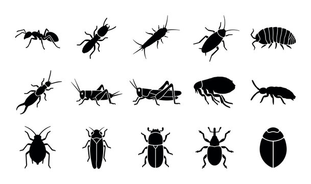 Crawling insect vector icons with ant, cockroach and grasshopper for mobile app design in glyph style